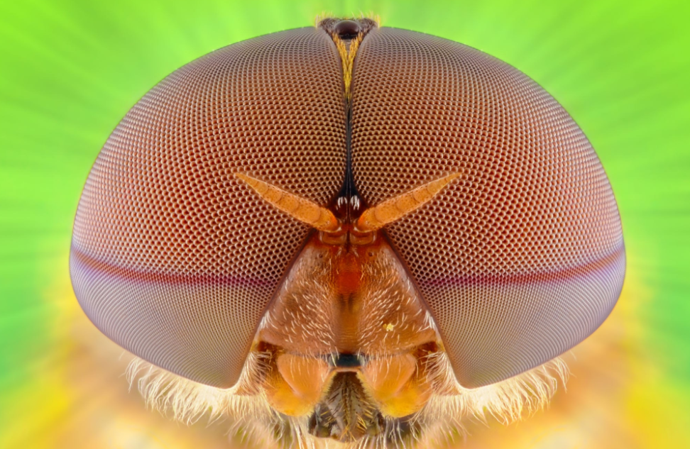 5-lens Matrix Bi-led Projector Lens